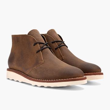 Stivali Stringati Thursday Boots Scout Nubuck Uomo Caffè | IT120VRW